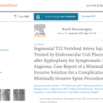 Segmental T12 Vertebral Artery Injury Treated by Endovascular Coil Placement after Kyphoplasty for Symptomatic Spinal Angioma. Case Report of a Minimal Invasive Solution for a Complication of a Minimally Invasive Spine Procedure