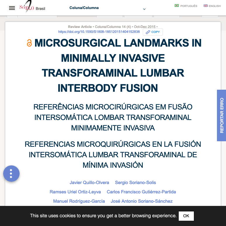 Microsurgical Landmarks In Minimally Invasive Transforaminal Lumbar Interbody Fusion